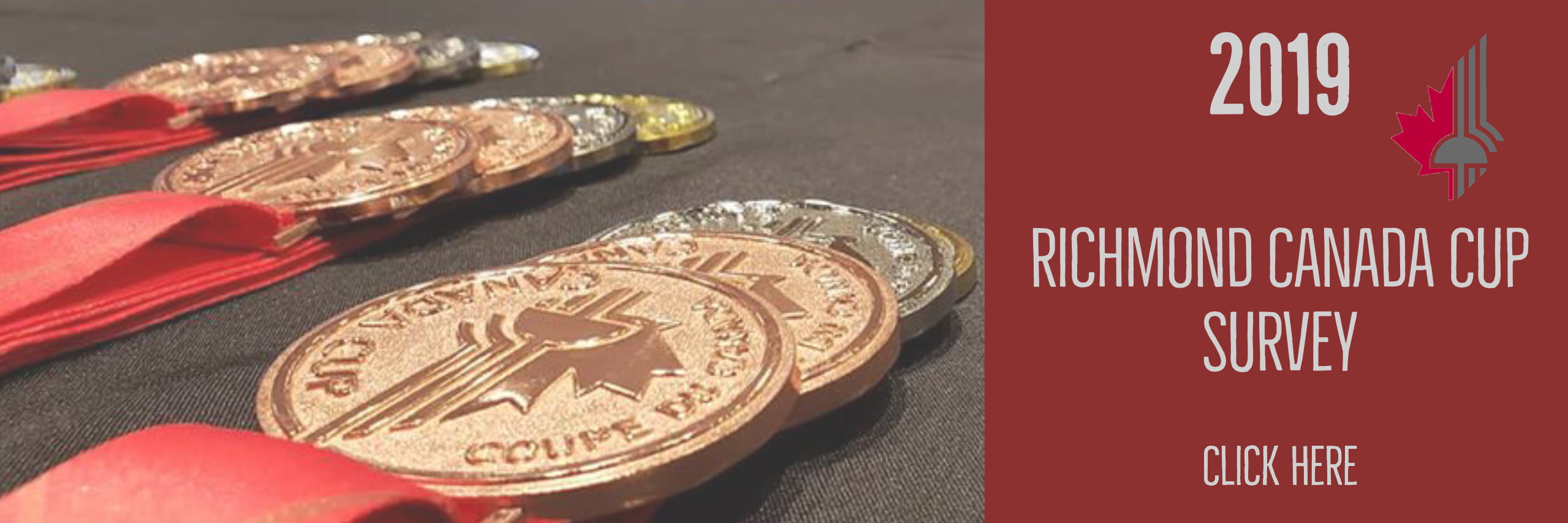 Home Canadian Fencing Federation Canadian Fencing Federation